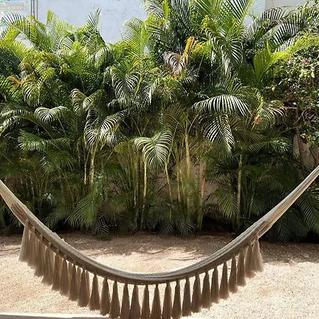 Casa Damiana Villa
